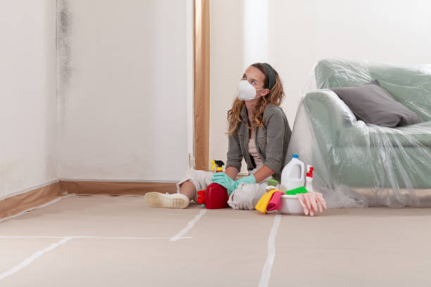 Reliable Mold Testing contractor in East Meadow, NY by WQB Mold Removal